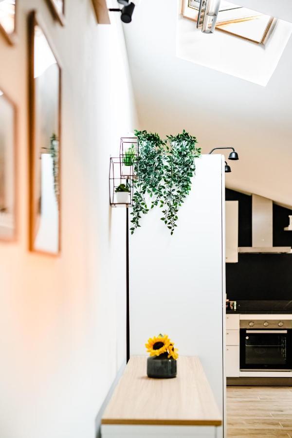 Mansarda Belli Ravenna Apartment Екстериор снимка